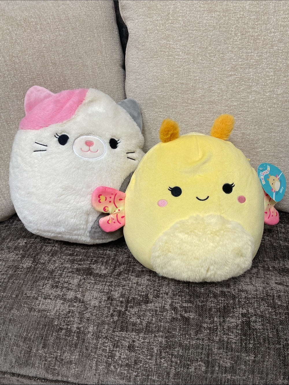 Squishmallow Duo “Miry The Moth” and Fuzzy “Karina The Cat”